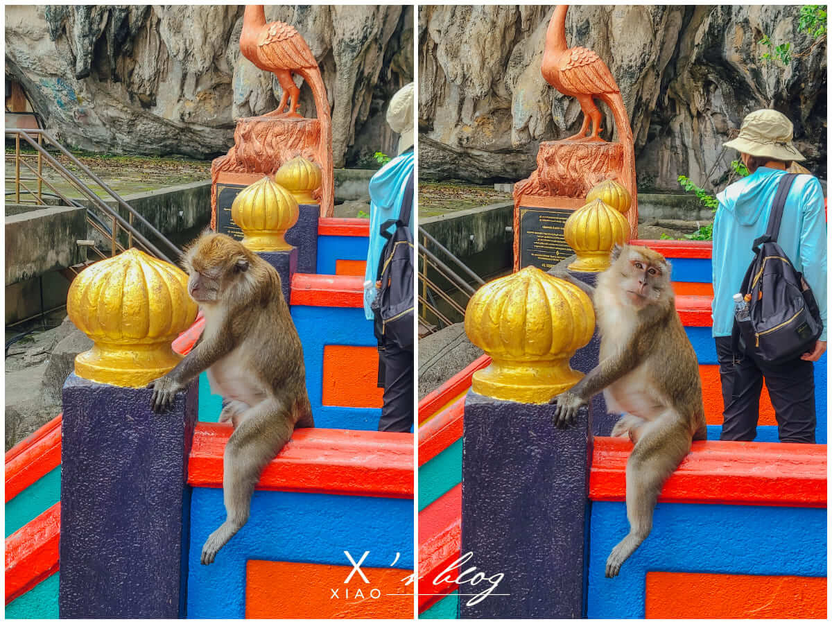 黑風洞巨猴 黑風洞巨猴