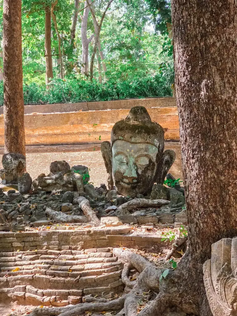 【素帖山秘境指南】Wat Pha Lat的森林禪院與Wat Umong的地下迴廊 清邁悟孟寺 Wat Umong 烏蒙寺著名的古老佛首與樹根纏繞遺址,展現清邁地下寺廟神祕且滄桑的歷史感,適合攝影與禪修導覽。