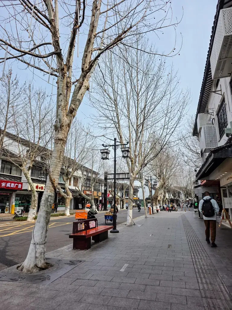 2026 蘇州旅遊攻略|5日遊深度自由行:避開人潮的園林路線、美食、住宿、交通一次搞懂 蘇州必去景點十全街:文藝氣息濃厚的街道美景,兩側林立梧桐樹與特色小店,是蘇州自由行漫步與品嚐美食的熱門行程。