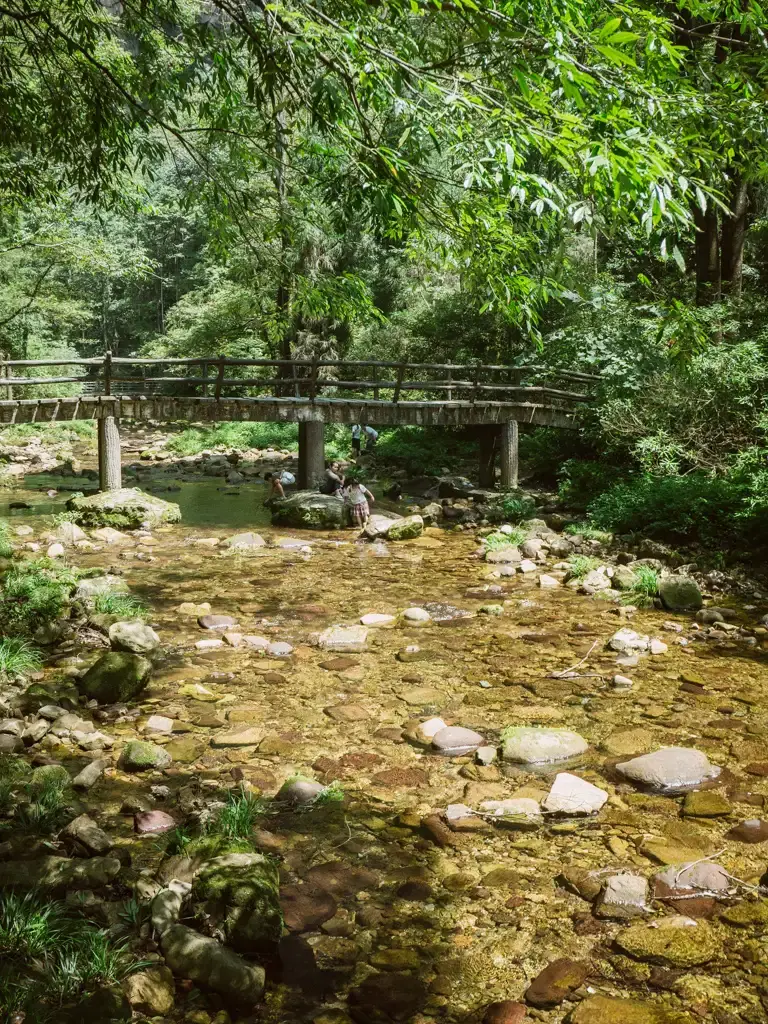 金鞭溪清澈見底的溪流與橫跨溪谷的古樸木橋