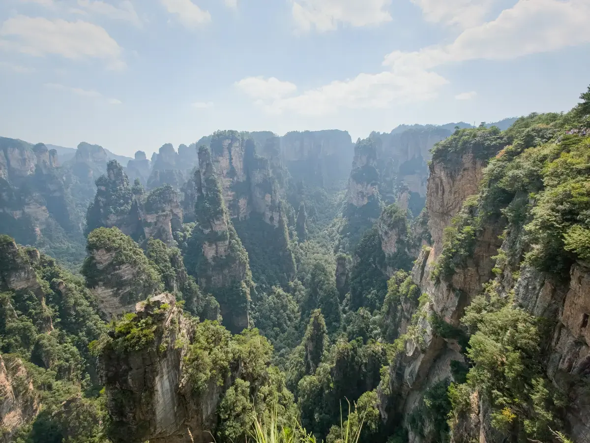 張家界袁家界峰林景觀,數十座砂岩石峰矗立在深谷之間,右側可見巨大岩壁