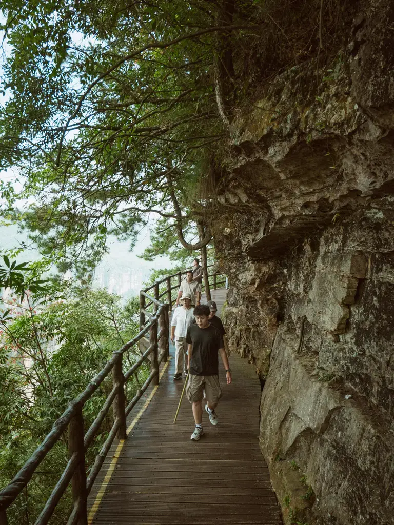 黃石寨山頂大環線平緩舒適的懸崖崖壁木棧道