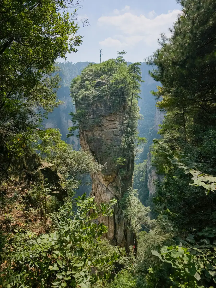 張家界袁家界乾坤柱,又稱阿凡達哈利路亞山,高聳的砂岩石柱頂端覆蓋綠色植被