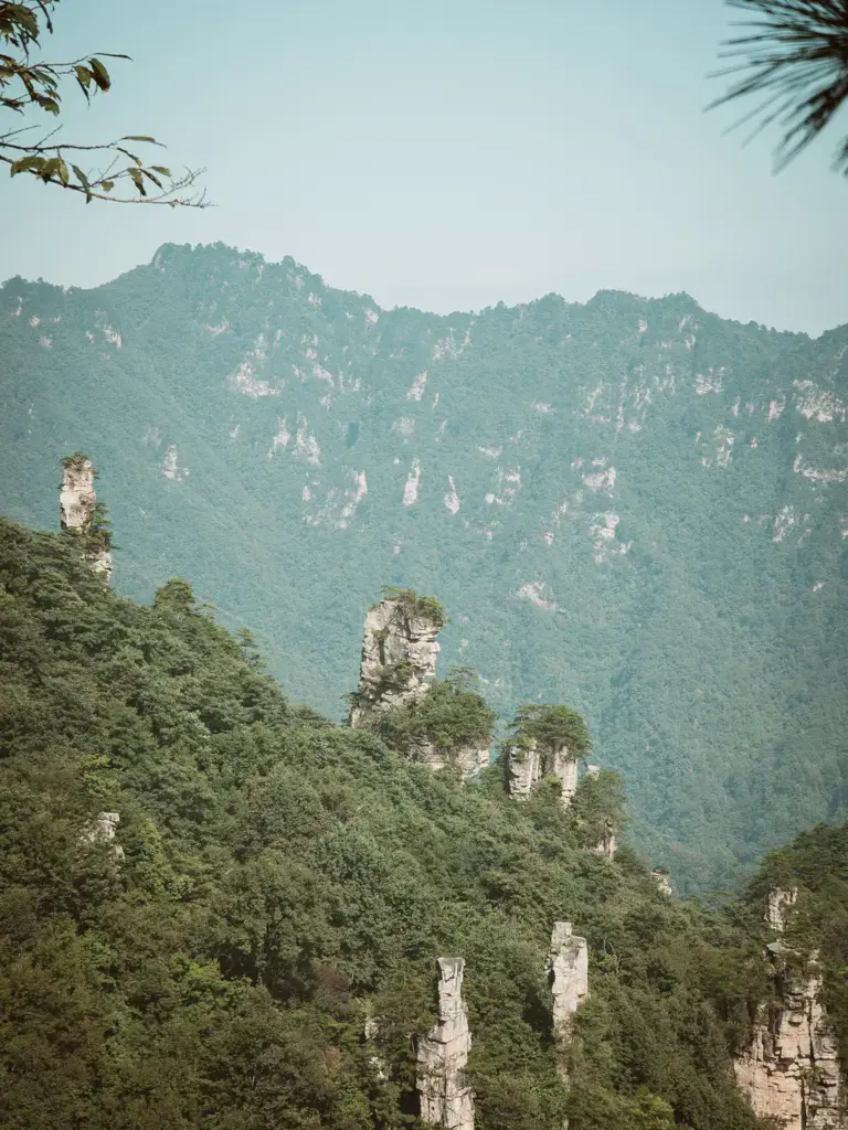 張家界天子山仙女散花景觀,翠綠山坡間矗立著數座石柱,遠方是層疊山巒