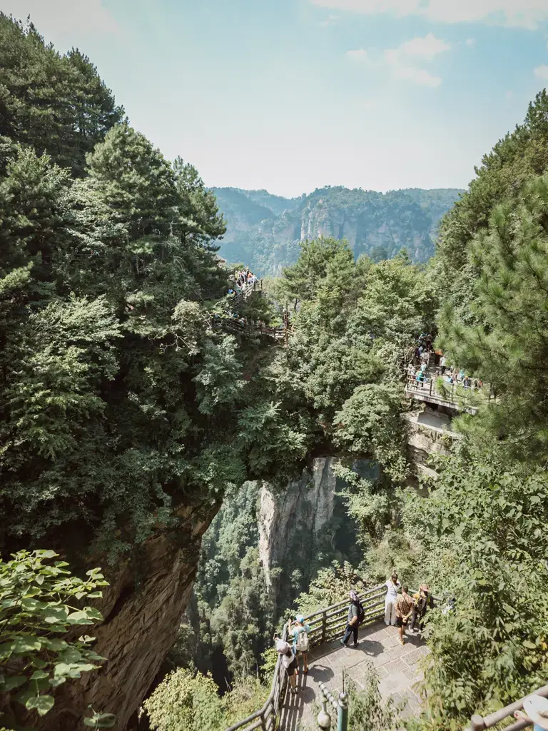 張家界袁家界景區的懸崖觀景棧道,遊客沿著山壁步道欣賞天下第一橋峽谷景色
