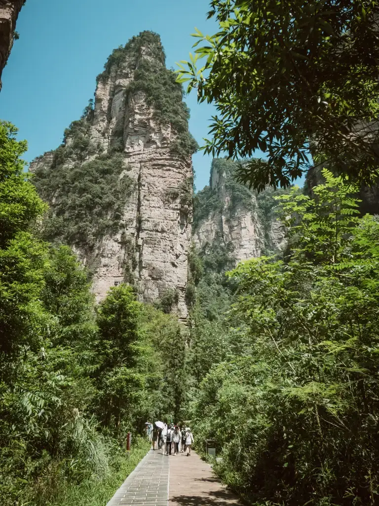 金鞭溪兩側高聳挺拔的石英砂岩峰林與平緩峽谷步道