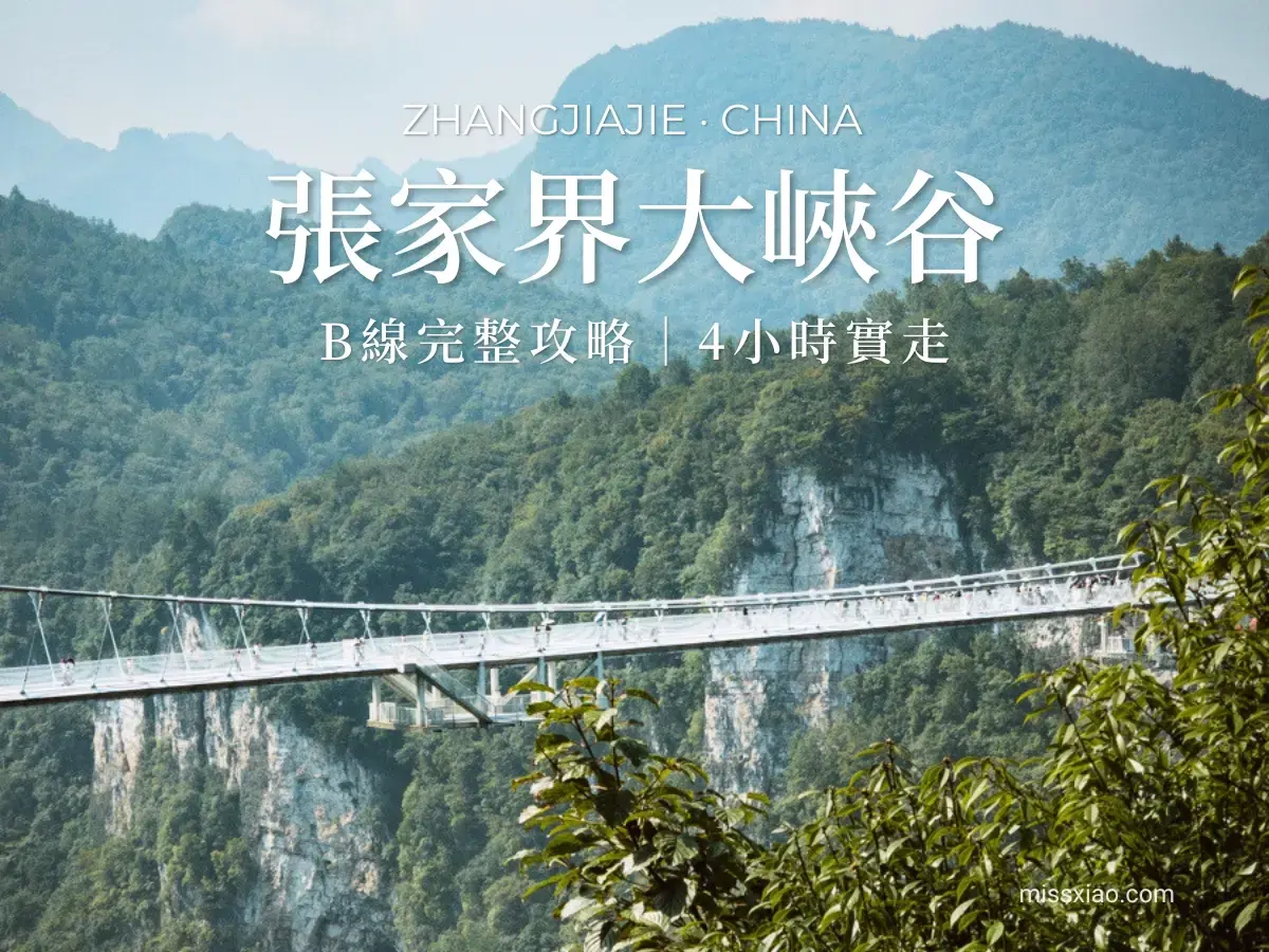 張家界大峽谷 B 線完整攻略，背景為橫跨山谷的雲天渡玻璃橋全景與標題文字