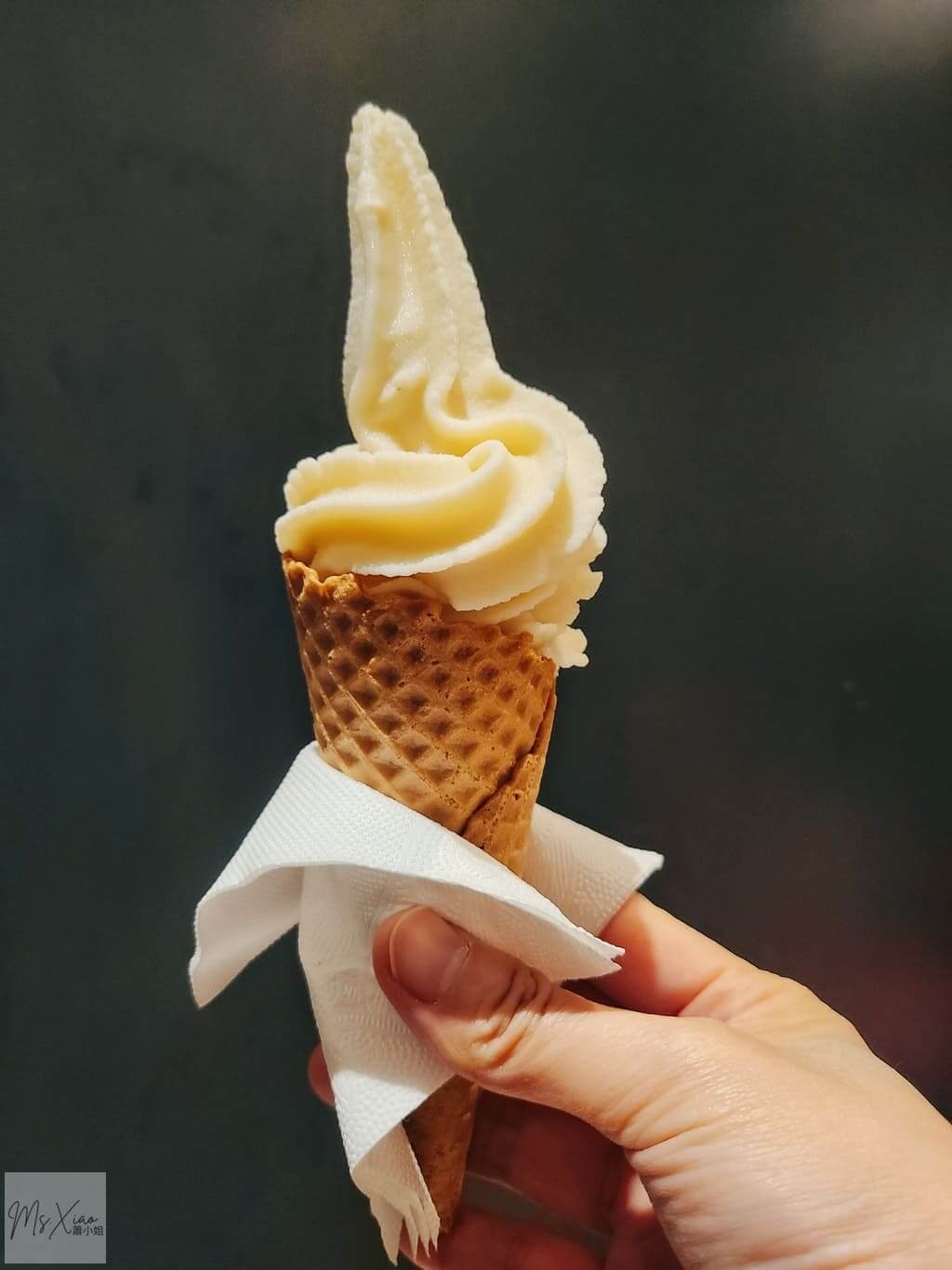 豆腐村ice cream